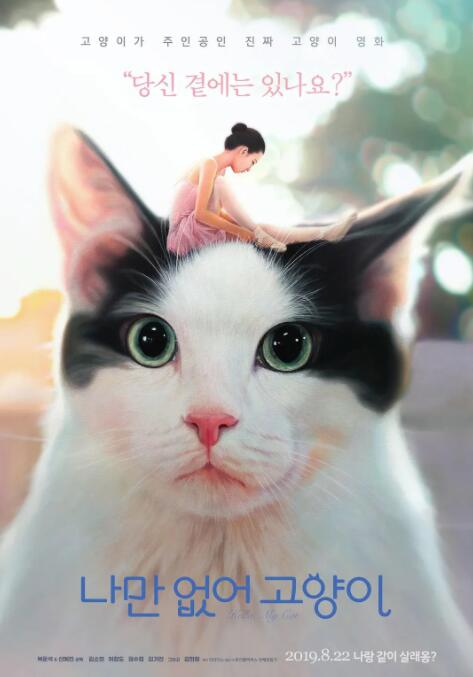 只有我没有猫(全集)