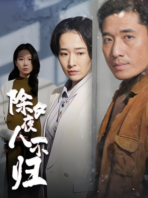 除夕夜人不归(全集)