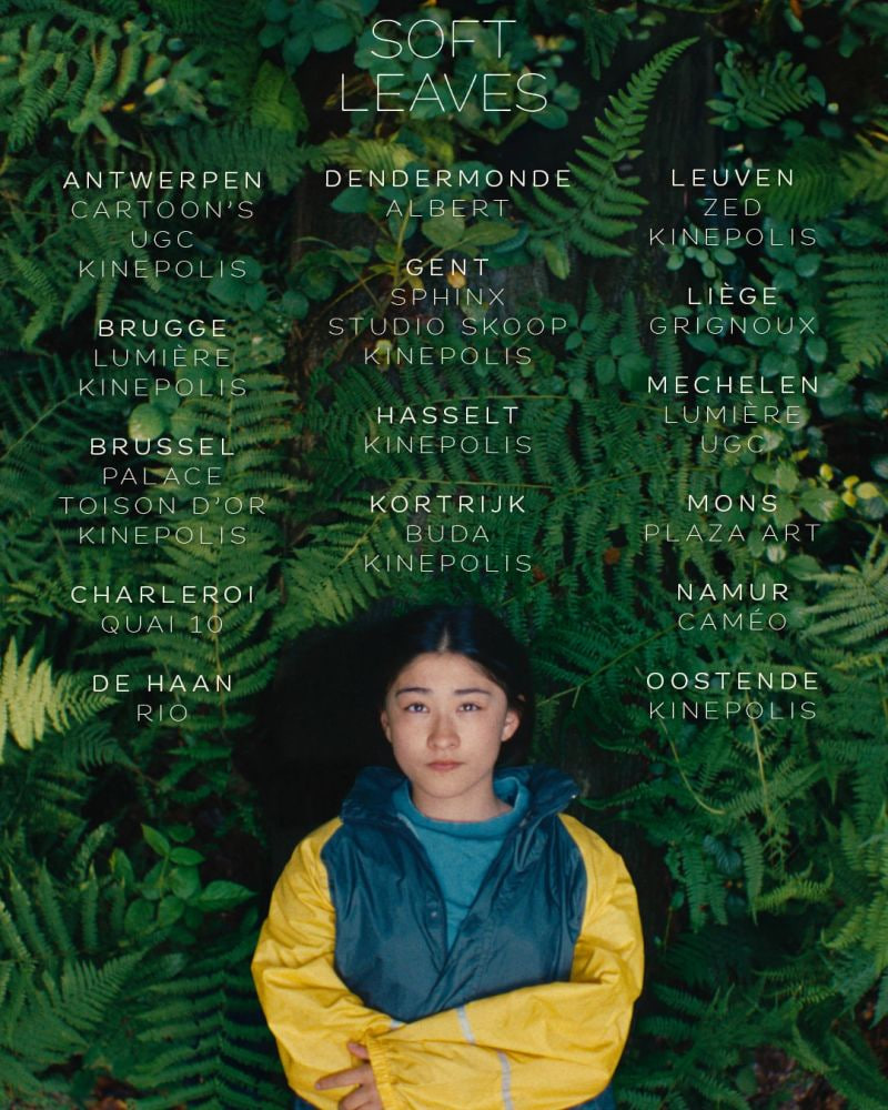 温柔的叶子(全集)