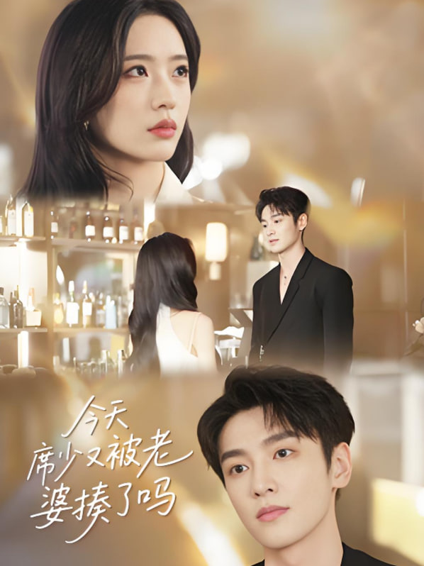 今天席少又被老婆揍了吗(全集)