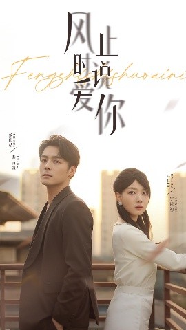 风止时说爱你(全集)