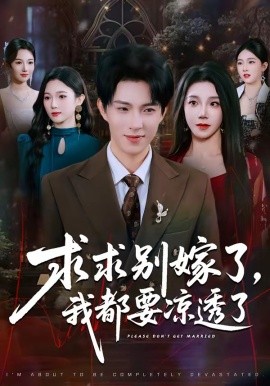 求别嫁了，我都要凉透了(全集)